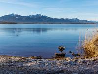 03 Heinrichswinkel Übersee am Chiemsee